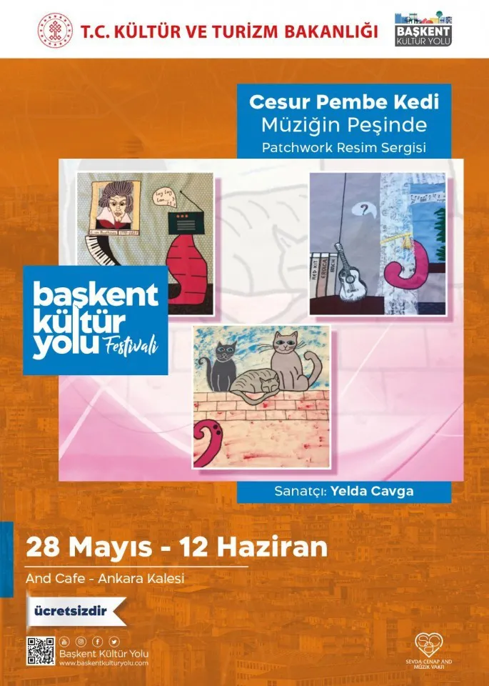 Cesur Pembe Kedi Müziğin Peşinde